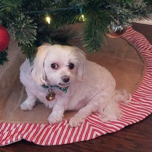 Meet your Posher, Jane